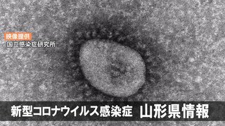 山形県 新型コロナウイルス感染症 発生状況284人　【3/18-3/24定点医療機関】