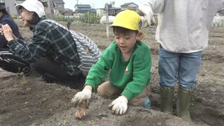 「おいしくそだって！ポテトサラダに…」園児たちがジャガイモ植え付け体験　富山