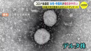 新型コロナ後遺症「女性･中高年が長引きやすい」「デルタ株のリスク突出」広島大学が患者2421人にアンケート