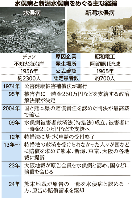 新潟水俣病、旧昭和電工に1億円の賠償命じる　国への請求は退ける