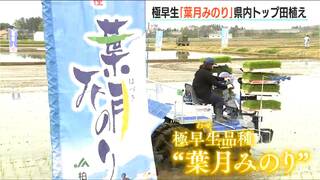 一足も二足も早く… 8月に収穫する『葉月みのり』の田植えはじまる　新潟県柏崎市