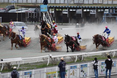 ばんえい競馬開幕　体重1トンの競走馬の迫力に歓声　北海道