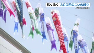 日差し浴び泳ぐ『約300匹のこいのぼり』イベントが4年ぶり開催　7メートルの大きなものも　グランメッセ熊本