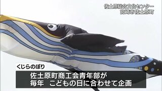 宮崎市佐土原町で名物「くじらのぼり」が空泳ぐ　佐土原総合文化センターでこどもの日まで