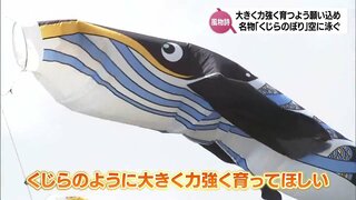 「大きく力強く育ってほしい」　伝統菓子にちなんだ名物"くじらのぼり"空泳ぐ　宮崎市の佐土原総合文化センターでこどもの日まで