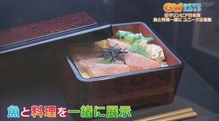 魚と魚料理を見比べながら巡る！？GWおすすめ水族館