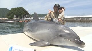 ゴールデンウィークおすすめスポット 「つくみイルカ島」　大分