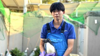 「いつまでも長生きしてほしい」両目が見えない30歳の老ペンギンと“ひとつ年下”飼育担当の絆【4月25日は“世界ペンギンの日”】