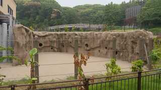 福岡市動物園ゾウ４頭受け入れ準備着々　市長は「暑くなる前には来てほしい」　