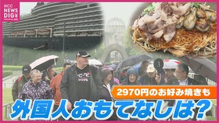 円安も追い風に　外国人観光客 “おもてなし” は？　クルーズ船寄港が過去最多へ　2024年度の広島港