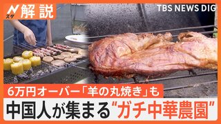 中国人が集まる“ガチ中華農園”　“ガチ中華”に野菜も提供する本場の味が大人気【Nスタ解説】