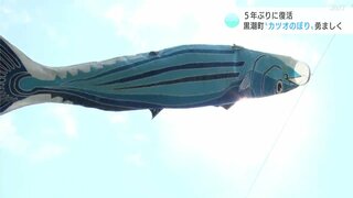 「すごい！カツオ！土佐って感じ…」５年ぶりに復活　“カツオのぼり”勇ましく（高知・黒潮町）