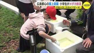 都心の屋上庭園「スカイパティオ」で小学生がメダカを放流「元気で力強く育って」