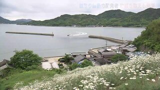 蚊取り線香開発者の功績称える　「除虫菊神社」で例祭　かつては日本有数の生産地　広島･尾道市