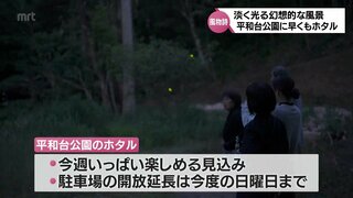 宮崎市の平和台公園でホタルが舞い始める　19日までは駐車場の開放時間を延長