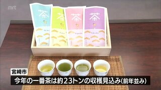 今年の新茶を楽しんで　宮崎市でとれた一番茶を生産者らが市長に贈呈