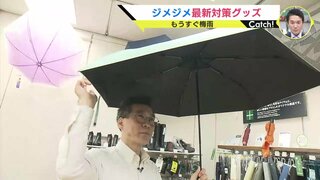 もうすぐ本州も梅雨入り　豪雨にも耐える全天候傘　部屋干しにサーキュレーター　ジメジメ対策で乗り切る雨の季節