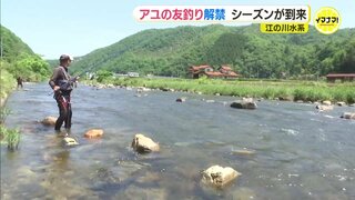 広島県内ではトップ　江の川や支流でアユの友釣り解禁「ことしは1000匹いきたい」