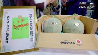 【動画】夕張メロン、２玉３００万円　初日出荷は６倍に　札幌初競り