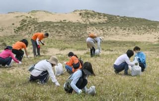 鳥取砂丘の除草、今季も開始　美しい景観守る