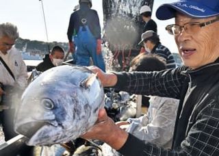 福島・小名浜港にカツオ初水揚げ　初夏の味覚到来「刺し身で」