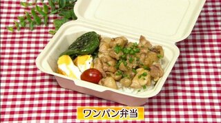 忙しい朝を応援！フライパン１つで簡単にできる「ワンパン弁当」時短レシピ【わっちtheキッチン】