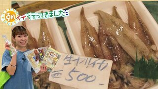 駅から徒歩10秒！17店舗の新鮮・豊富な海の幸でオリジナル朝食はイカが？“イカのまち”の本気の市場～朝イチ行ってきました～【八戸市魚菜小売市場】