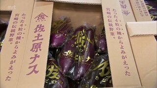 6月4日が宮崎の伝統野菜「佐土原ナスの日」に　初競りでは最高値で1本300円も