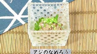 南蛮みそでピリ辛！ご飯もお酒も進んじゃう「アジのなめろう」お魚レシピ【わっちtheキッチン】