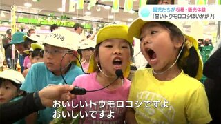 「朝どれトウモロコシいかがですか？」　子どもたちが収穫・販売体験