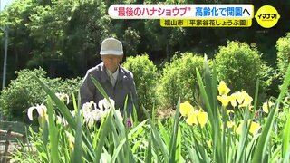 “最後のハナショウブ”　管理する人の高齢化で「しょうぶ園」が閉園へ　広島･福山市