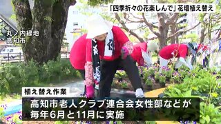 「四季折々の花楽しんで」高知市中心部で花壇の花を植え替え