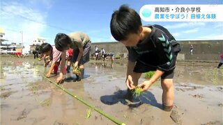 「おいしくてホカホカのお米食べたい」農業について学ぼう！児童たちが田植え体験