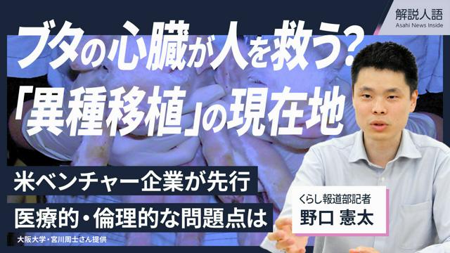 【解説人語】ブタの心臓が人を救う？　臓器「異種移植」の希望と課題