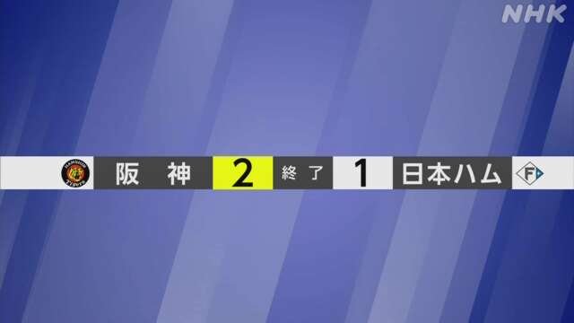 【プロ野球】阪神がサヨナラ勝ち 交流戦の日程すべて終える