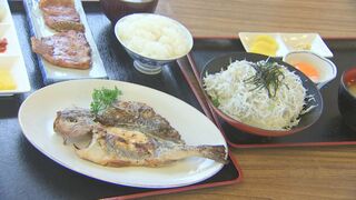 初夏の魚を堪能「イサキとしらすフェア」開催　3店舗で特別メニュー提供　大分・佐伯市