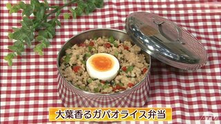 鶏ひき肉で作る本格タイ料理「大葉香るガパオライス弁当」簡単レシピ【わっちtheキッチン】