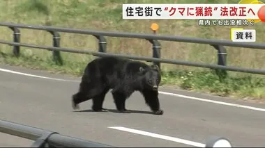 住宅街で“クマに猟銃”法改正へ　環境省検討会　岩手県内でも出没・被害相次ぐ