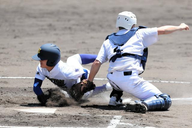 全国高校野球選手権鳥取大会第2日　鳥取西と境が初戦突破