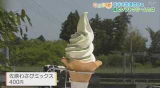 暑い日に食べたい！ひんやりスイーツ特集