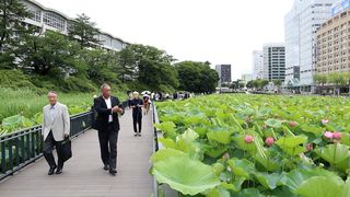 【動画】お堀散策の遊歩道が完成　秋田市