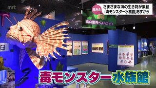 「毒」を持つ海洋生物を一堂に集めた展示会「毒モンスター水族館」　13日から宮崎県総合博物館で開催