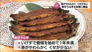 多くの人に宮崎県産のウナギを楽しんでほしい　県内の養鰻業者が「新仔うなぎ」を知事に贈呈しPR　