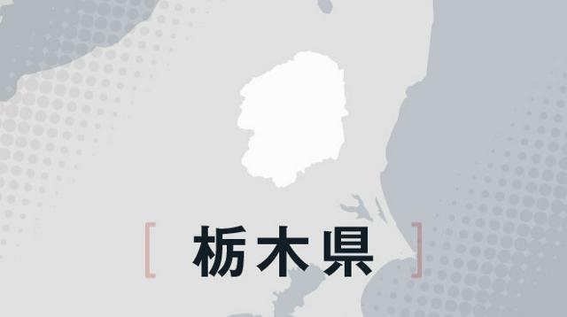 高校軟式野球、栃木県大会が開幕