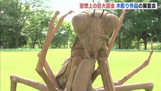 「虫かごに入った感じ」巨大な空想昆虫ずらり　広島･三原市で木彫展