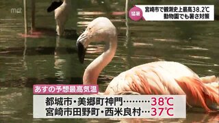 宮崎市で観測史上最高の38.2℃　宮崎県内は危険な暑さ続く　水浴びや凍らせたペットボトルなど動物園の動物も暑さ対策　31日も最高38℃の予想も