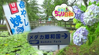 国道7号環状道路沿いにある【メダカ郷和国】ってどんな国!?アジサイの見頃スポットを駆け抜けたどり着いた不思議な場所～青森県で自転車の旅～