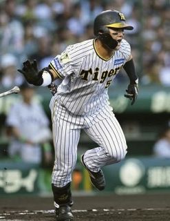 神９―２巨（１日）　阪神１３安打、７連勝