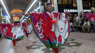 第71回よさこい祭り 大賞は「とらっくよさこい（ちふれ）」