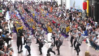 「巨大地震注意」の中　よさこい祭り本番　踊り子1万7000人が舞う